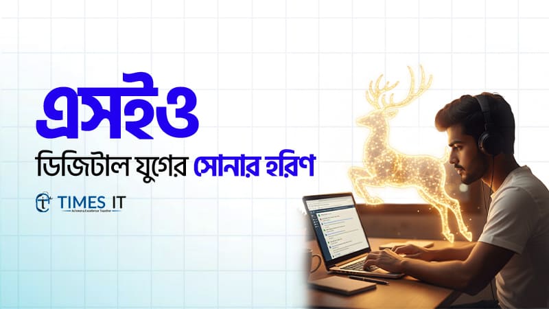 এসইও কিভাবে শিখবো