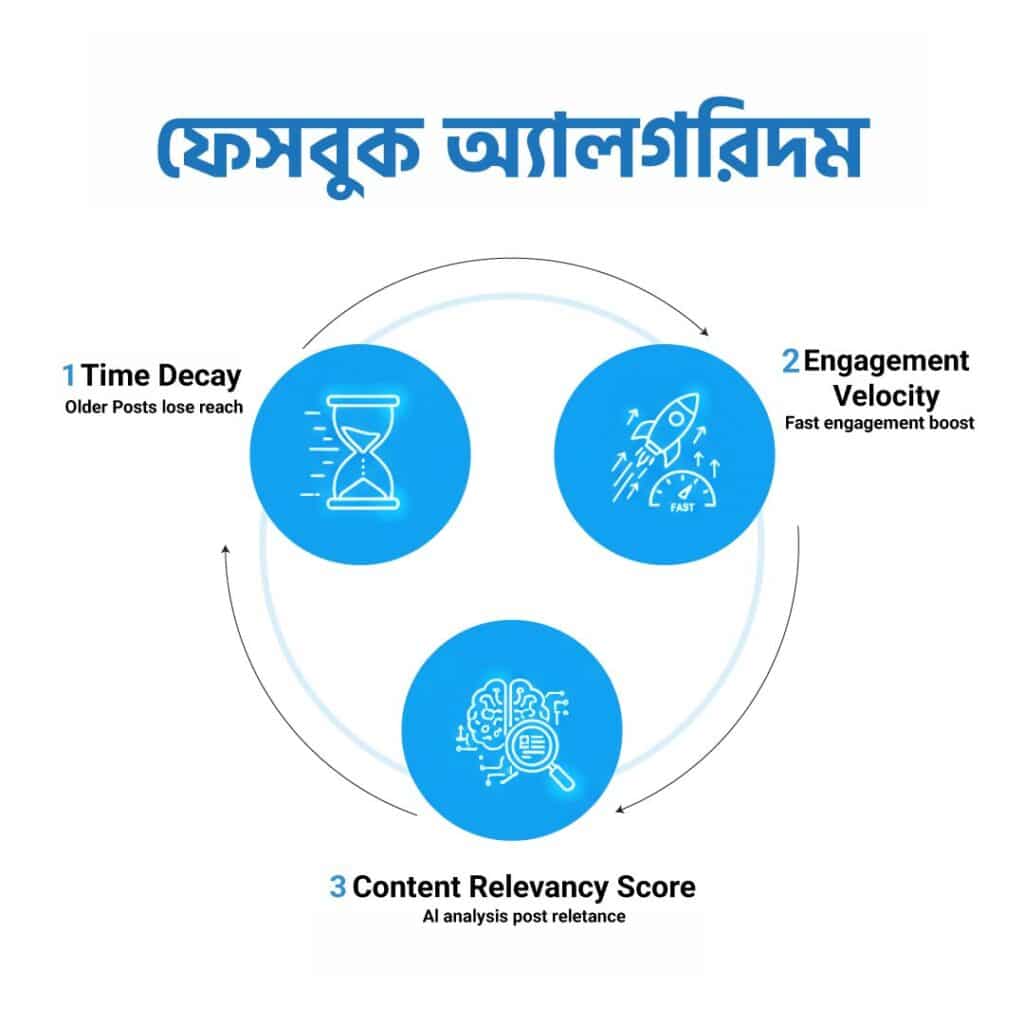 ফেসবুক অ্যালগরিদম ইনফোগ্রাফিক